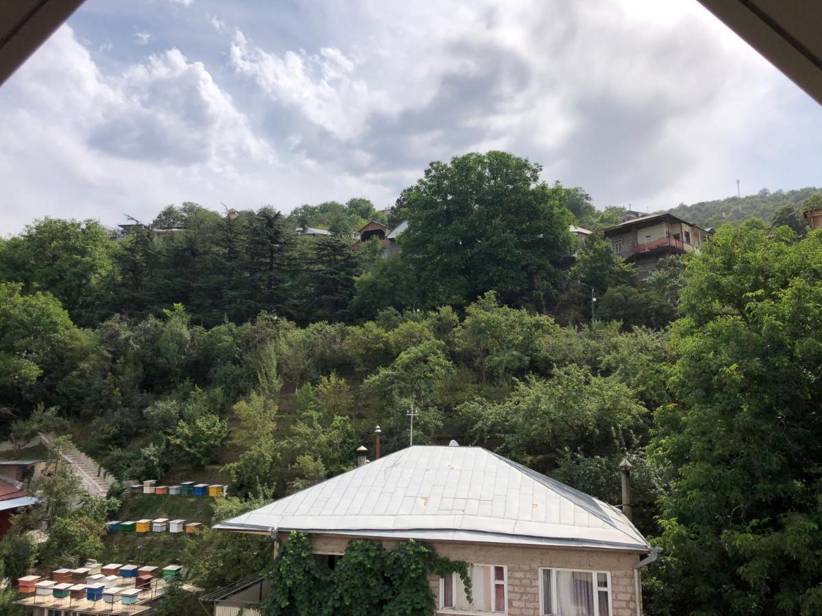 Cozy Apartment For Real Rest Dilijan Eksteriør billede